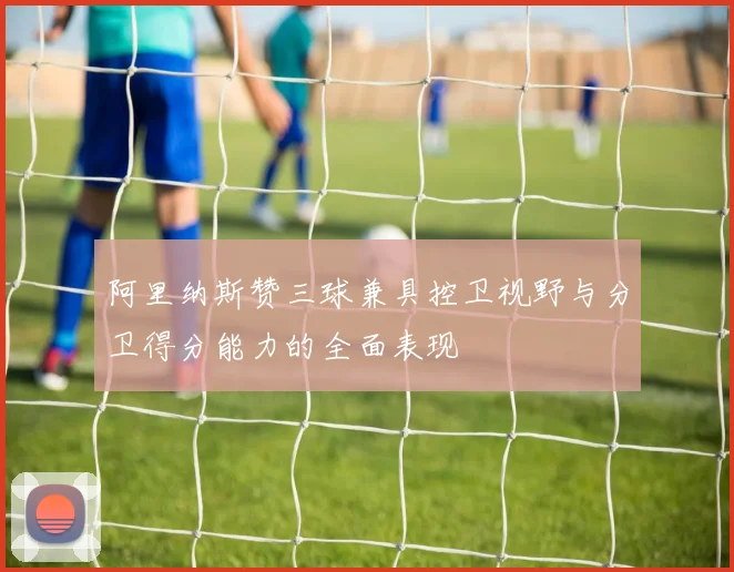 阿里纳斯赞三球兼具控卫视野与分卫得分能力的全面表现