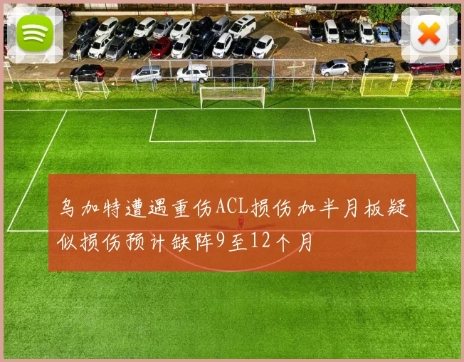 乌加特遭遇重伤ACL损伤加半月板疑似损伤预计缺阵9至12个月