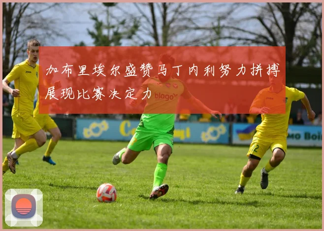 加布里埃尔盛赞马丁内利努力拼搏展现比赛决定力
